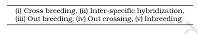 cross