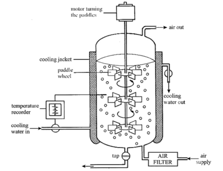 fermentor