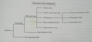categories